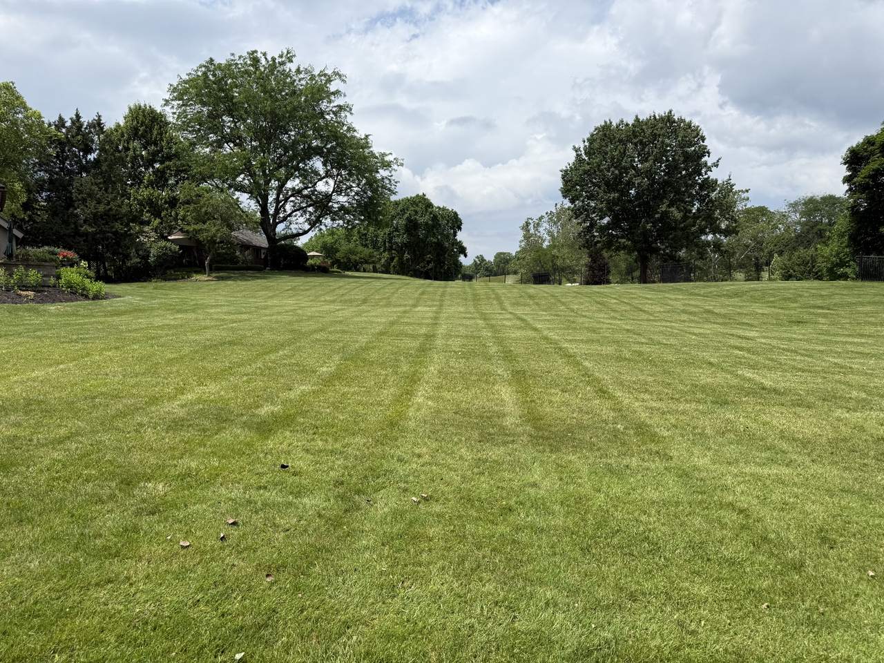 Clean parallel mow stripes across a large open lawn in the Columbus area
